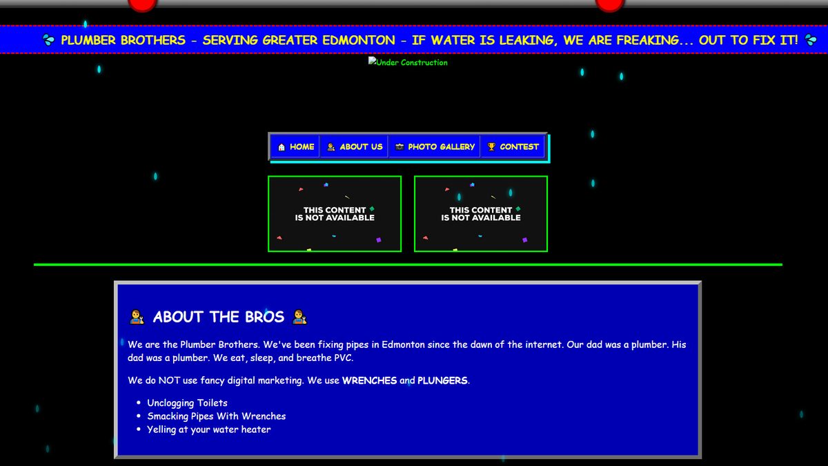 Plumber Bros website