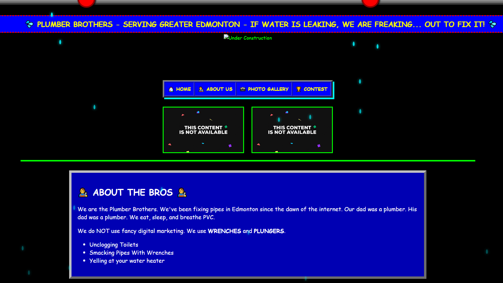 Plumber Bros website