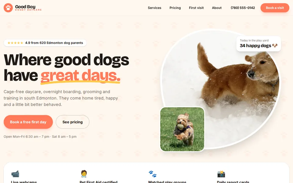 Screenshot of the Good Boy Doggy Daycare website
